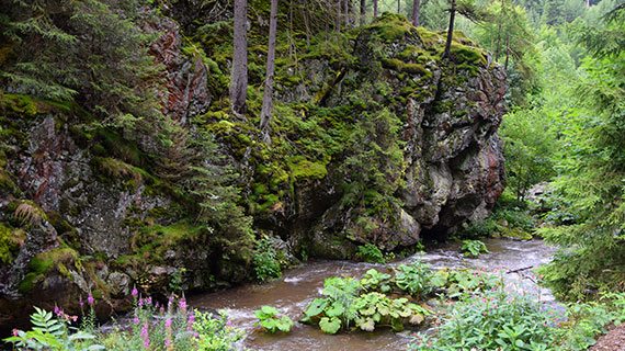 Steinachklamm in the Steinachtal (The Steinach Gorge in the Steinach Valley)