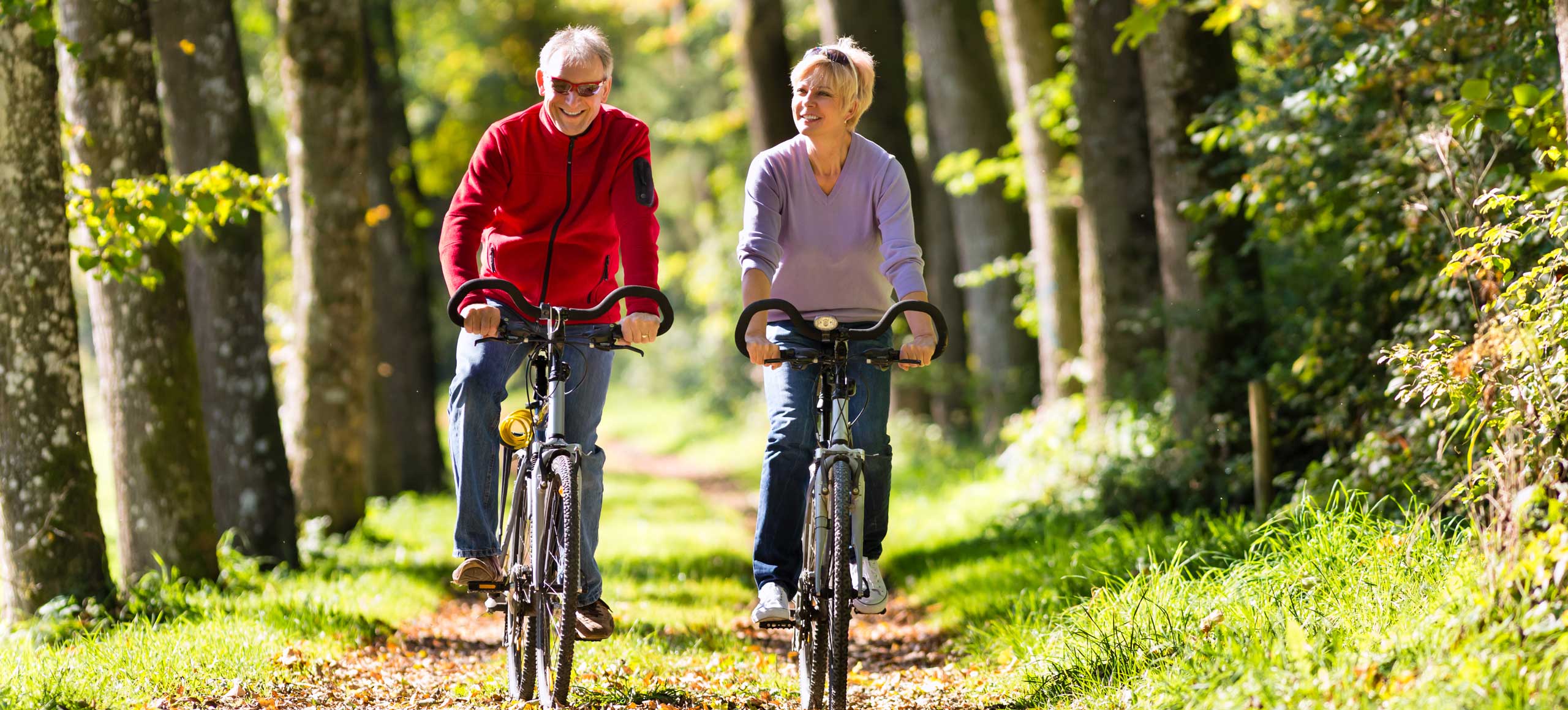 Radfahren auf dem Main Radweg